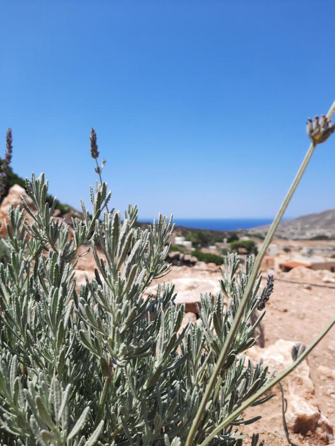 Villa Adeiata Adiata Esterno foto