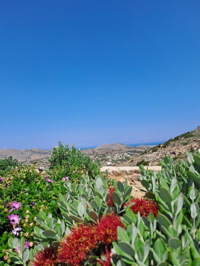 Villa Adeiata Adiata Esterno foto